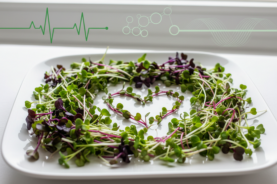 Can Microgreens Help Lower Cholesterol?